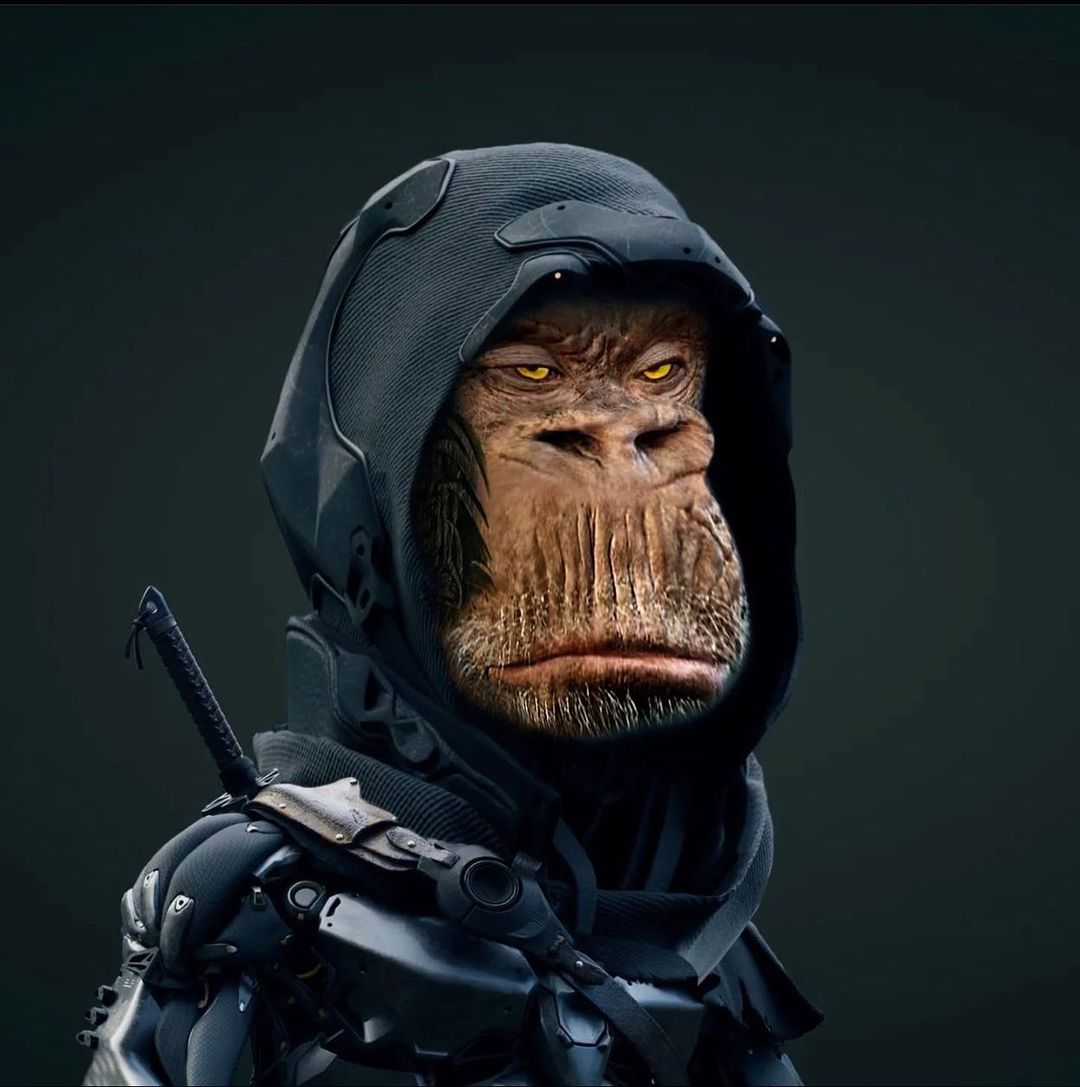 Ninja